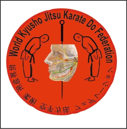 استایل جهانی کیوشو جیتسو کاراته دو